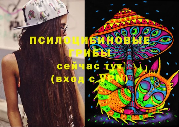 индика Гусь-Хрустальный