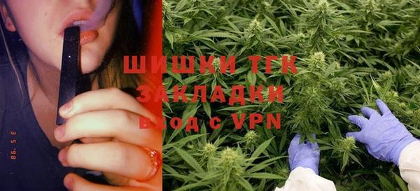 ПСИЛОЦИБИНОВЫЕ ГРИБЫ Гусиноозёрск