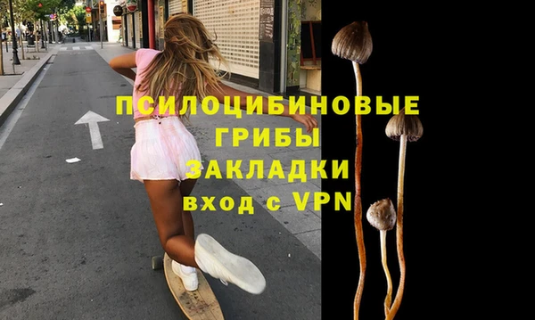 дмт Гусев