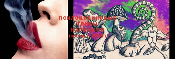 Альфа ПВП Вяземский